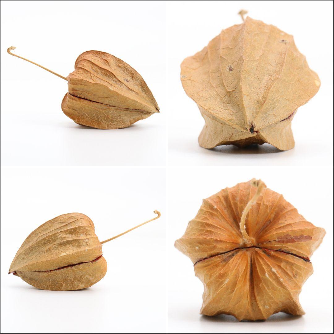 三代 中村尚濤済(喜太郎) 鬼灯 香合 乾漆 茶道具 共箱共布　rC799　N4