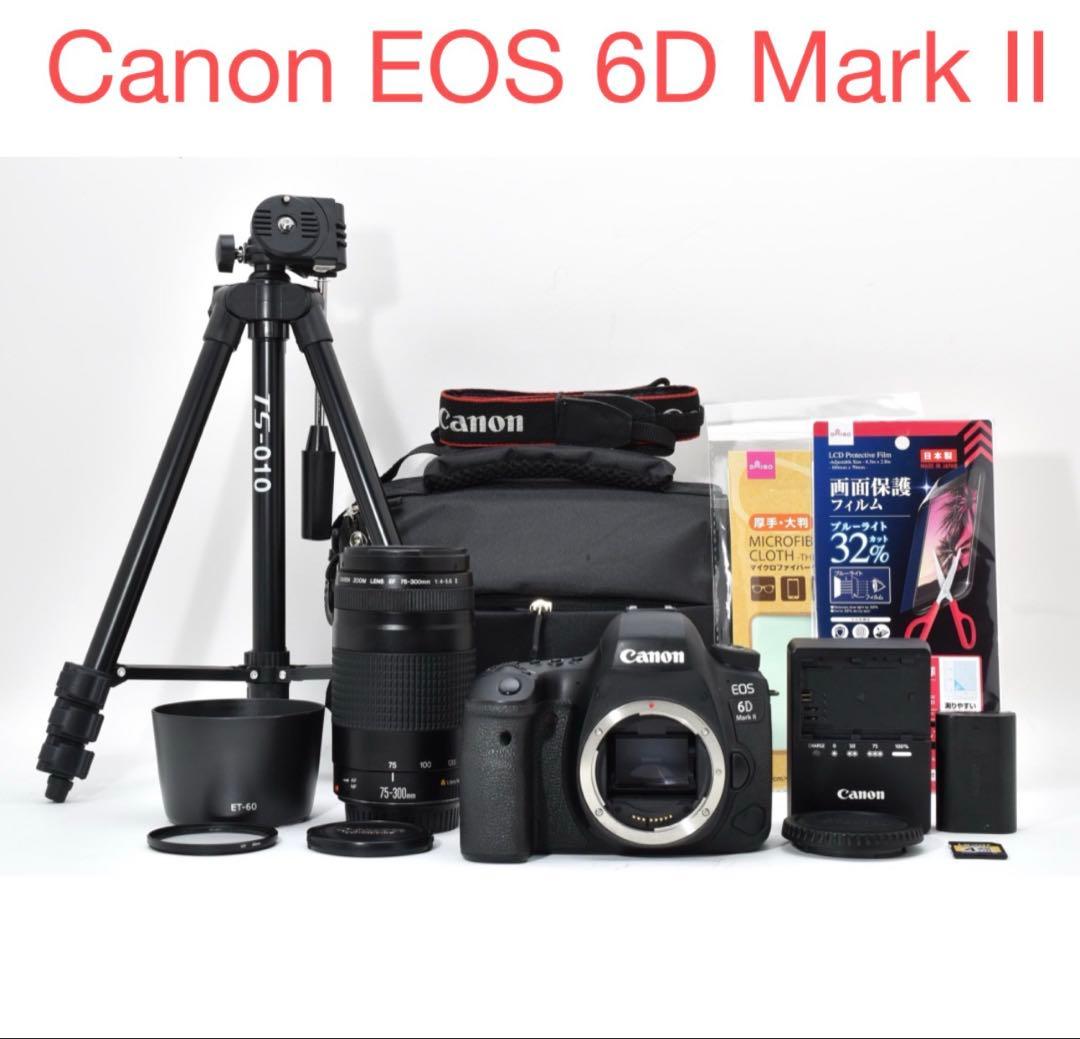 デジタル一眼レフカメラ望遠レンズセットCanon EOS 6D Mark II - メルカリ