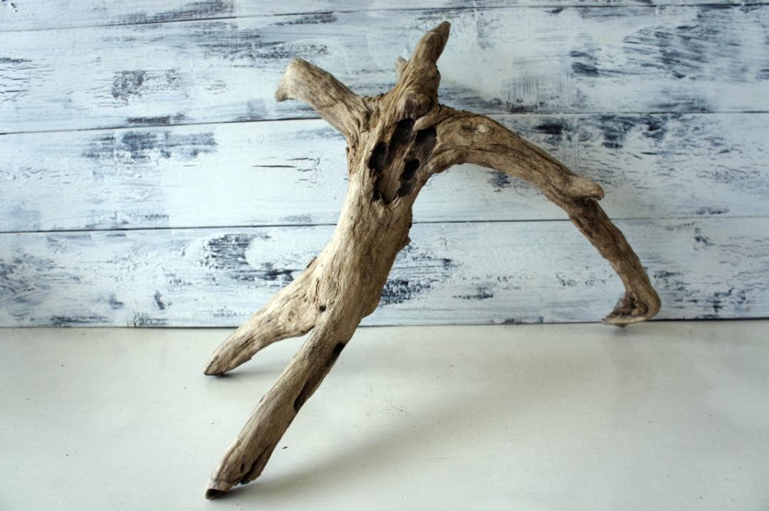 V24特大流木 アク抜き済み流木 爬虫類シェルター 登り木 インテリア