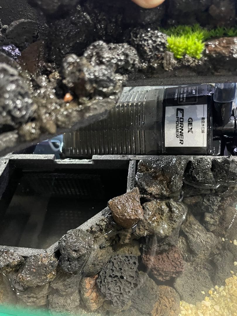 アクアテラリウム 溶岩石 No.3 ※傷あり特価※