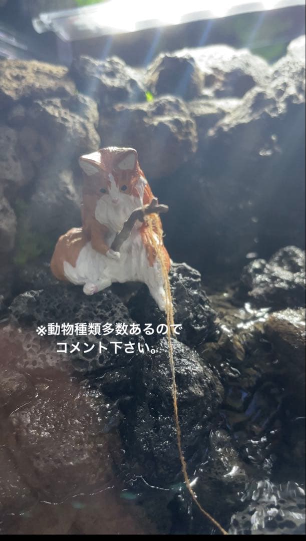 アクアテラリウム 溶岩石 No.3 ※傷あり特価※ アクアテラリウム 溶岩石 No.