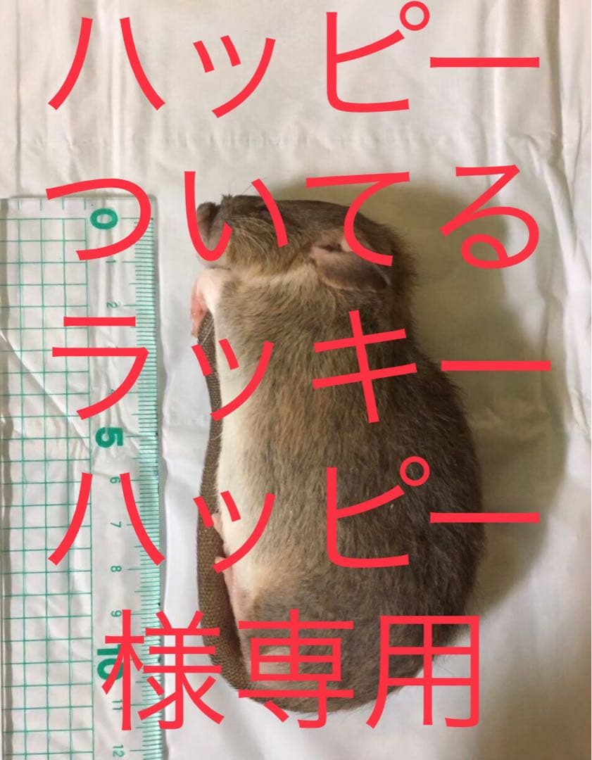 冷凍PM60 PL60 ADL60 冷凍PM60 PL60 ADL60 冷凍PM60 PL60 ADL60 冷凍PM60 PL60 ADL60