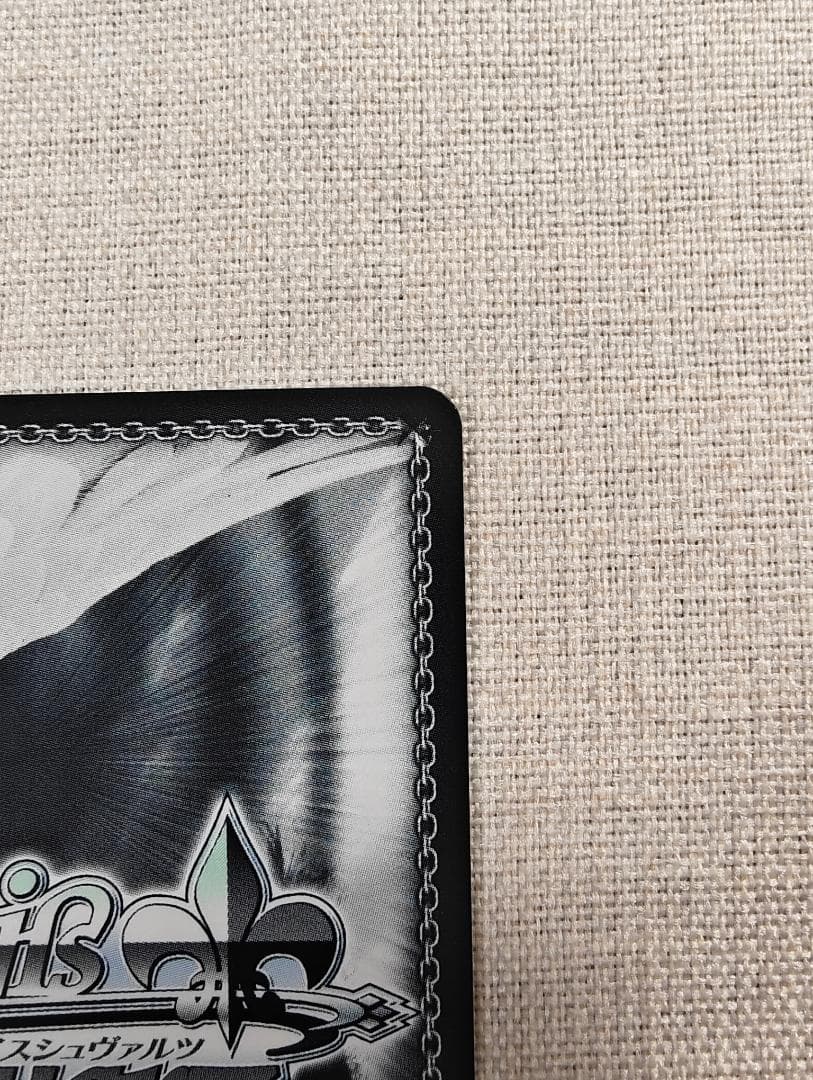 ヴァイスシュヴァルツ 守るべき大切なもの　なのは　ssp