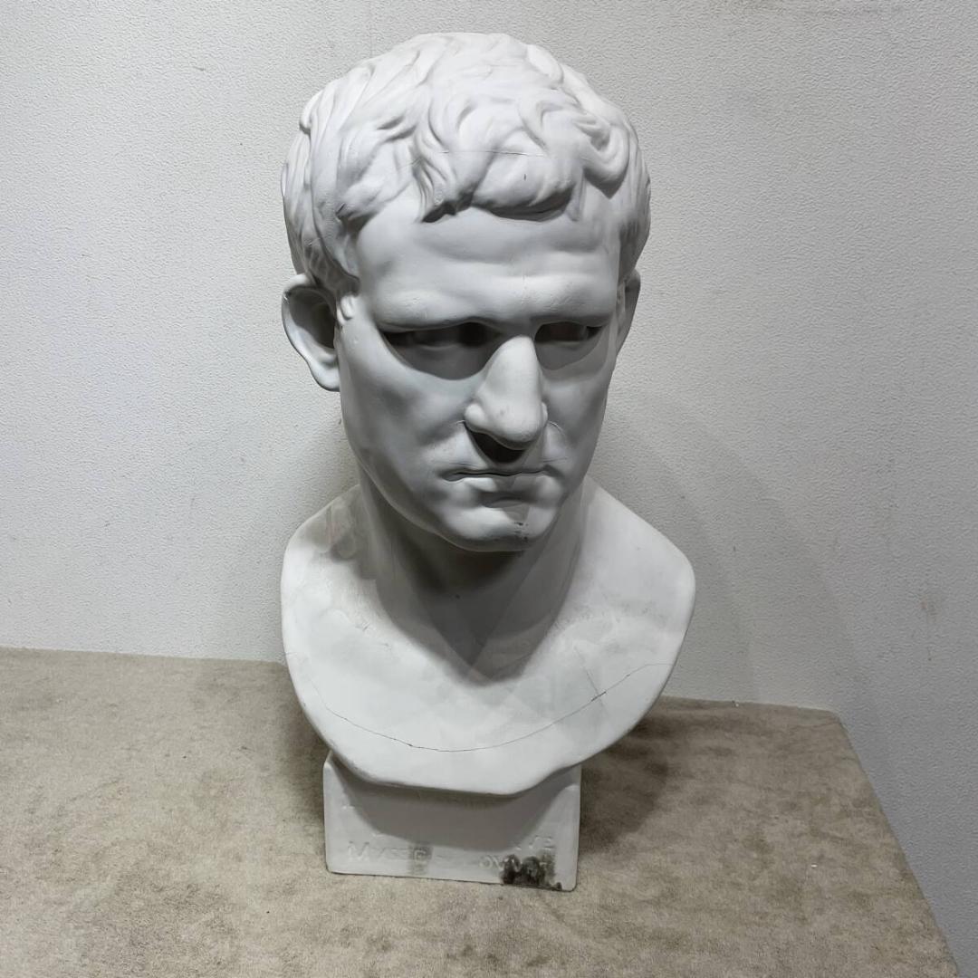 オシャレ空間に アグリッパ 石膏像 デッサン 美術 インテリア Amazon