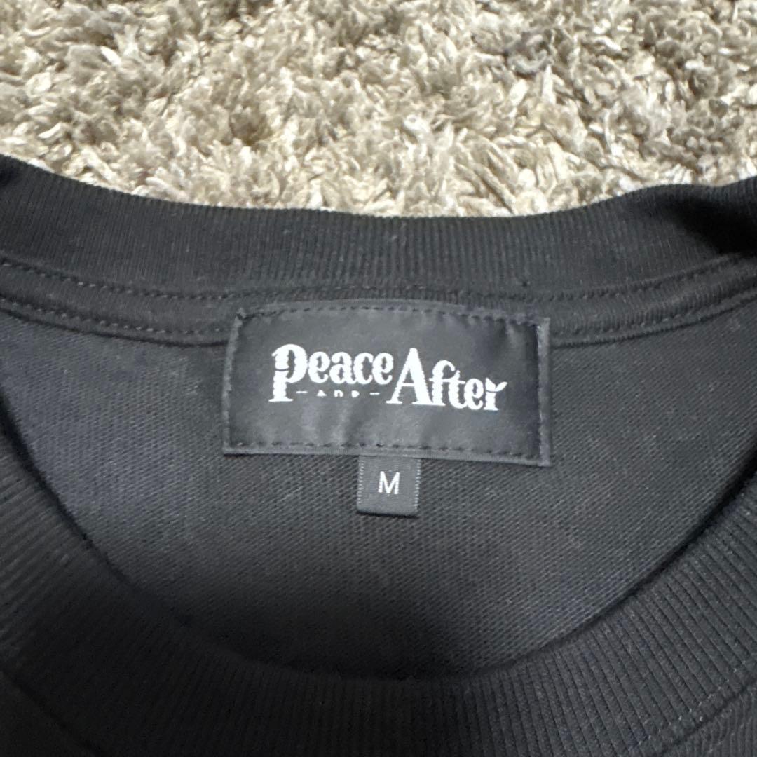 リンキン・パーク　Tシャツ Mサイズ