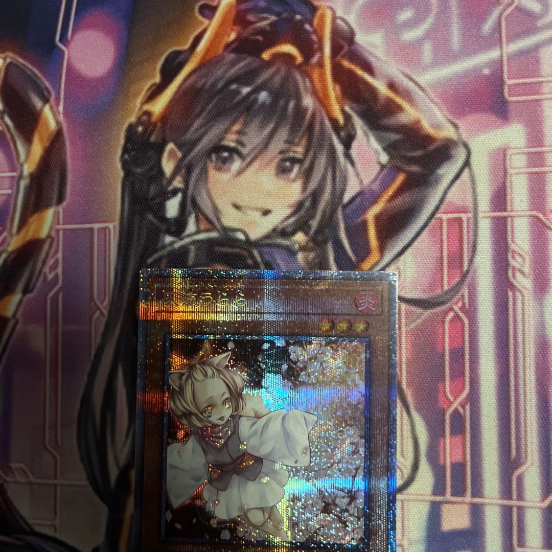 遊戯王 灰流うらら ハルウララ プリズマ シークレット