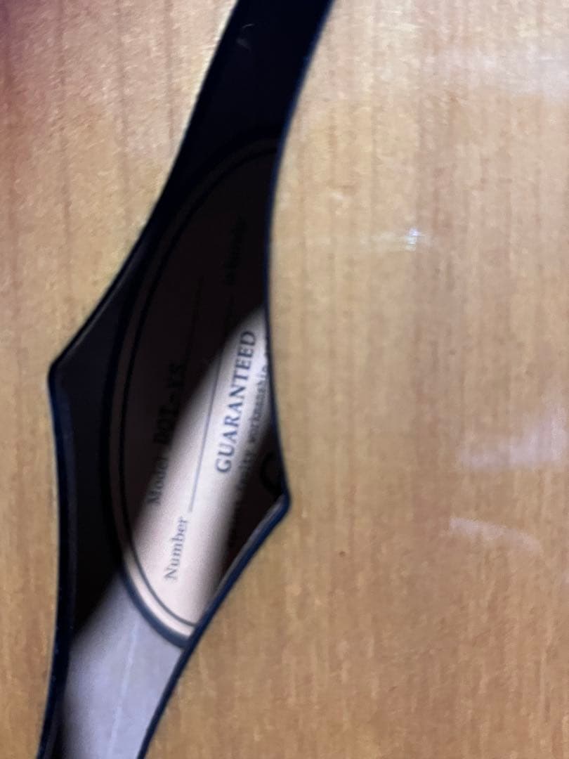 Epiphone エレキギター　セミアコ　Dot VS 335