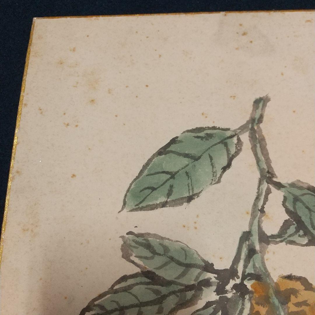 小説家画家 武者小路実篤 肉筆色紙 柚子？