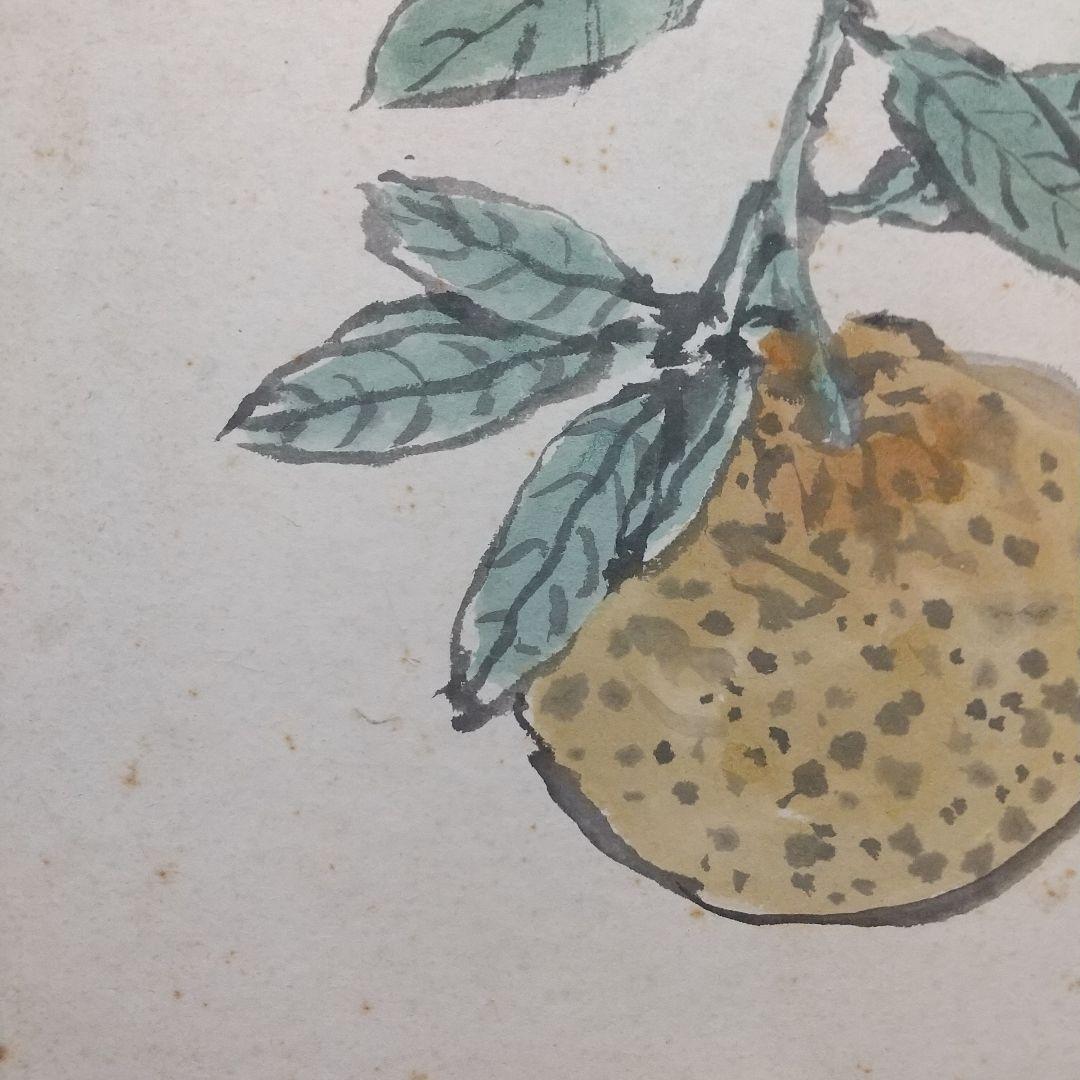 小説家画家 武者小路実篤 肉筆色紙 柚子？