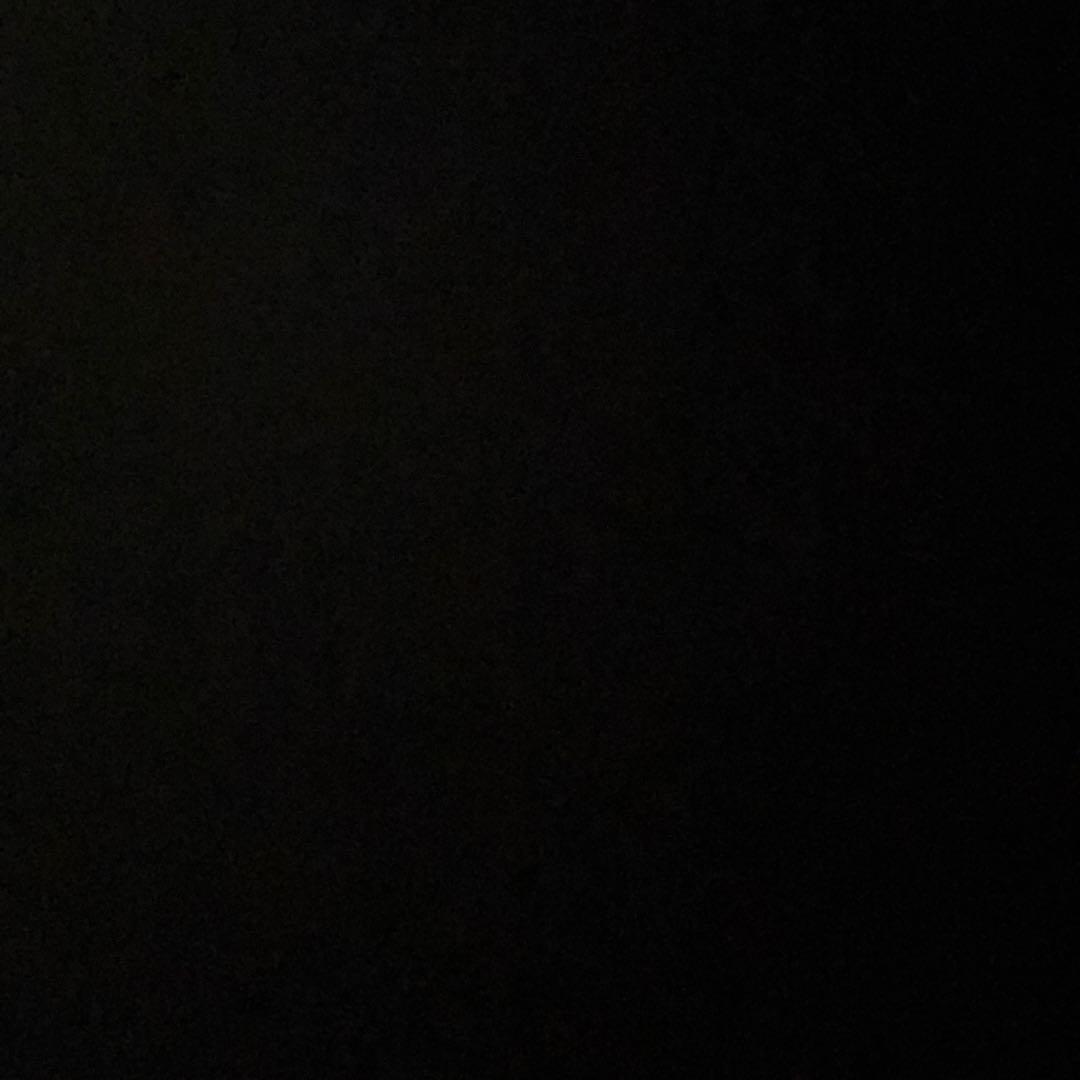 かわせさん用　mtg マスターズ25th 日本語 シュリンク 未開封 かわせさん用 mtg マスターズ25th 日本語 シュリンク 未開封 MTG