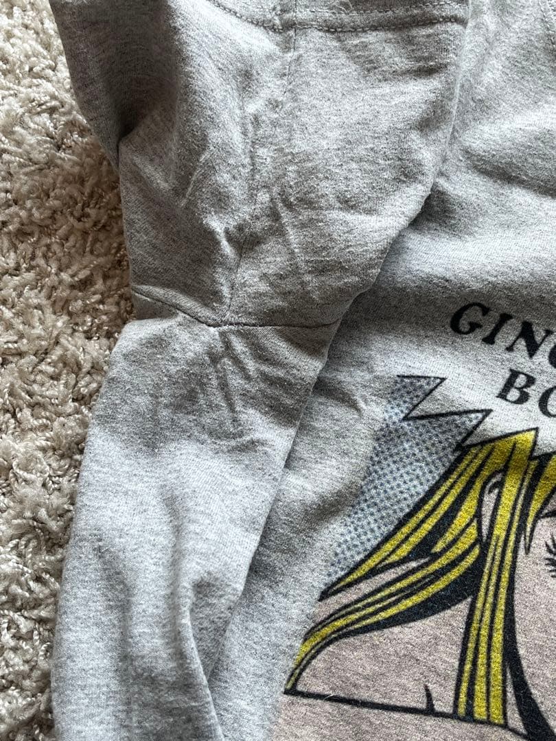 銀杏BOYZ 君と僕の第三次世界大戦的恋愛革命 tシャツ