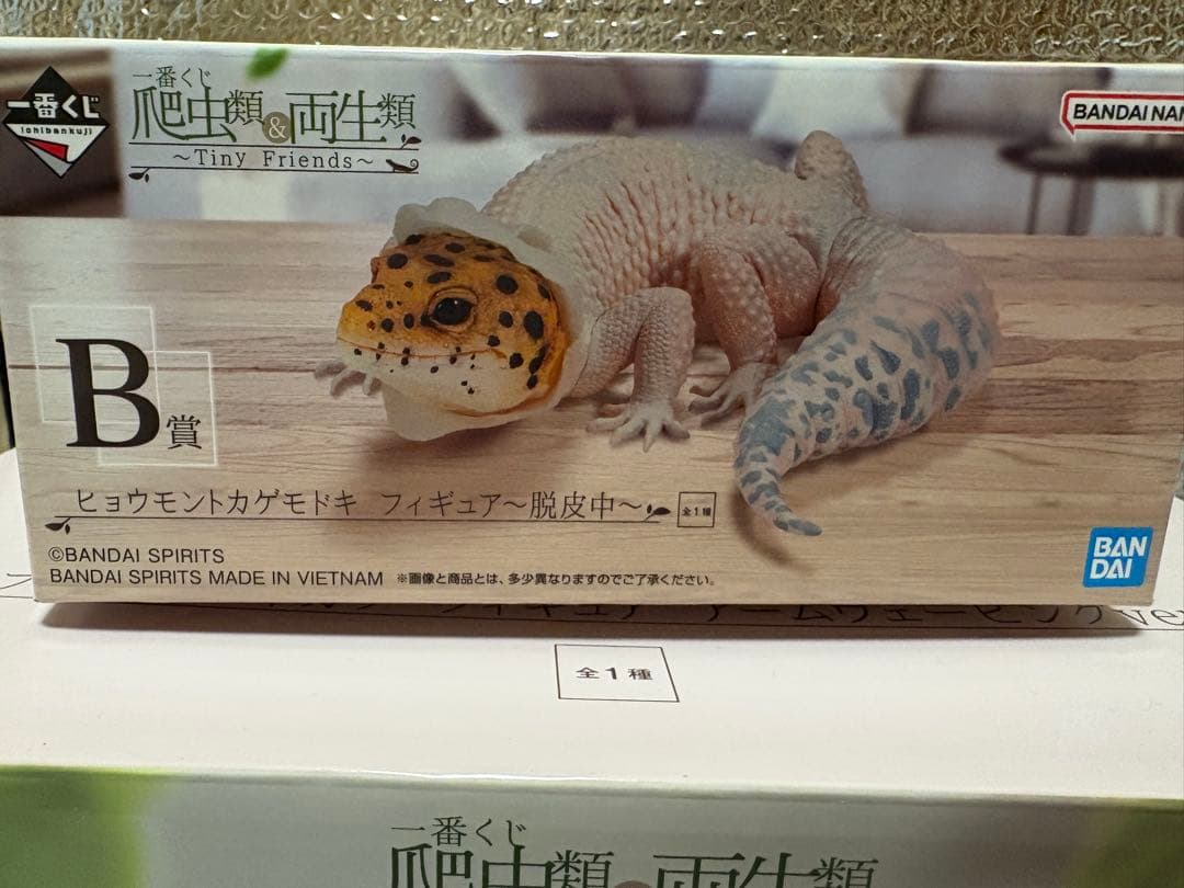 一番くじ 爬虫類&両生類 ラストワン賞 B賞 セット - メルカリ