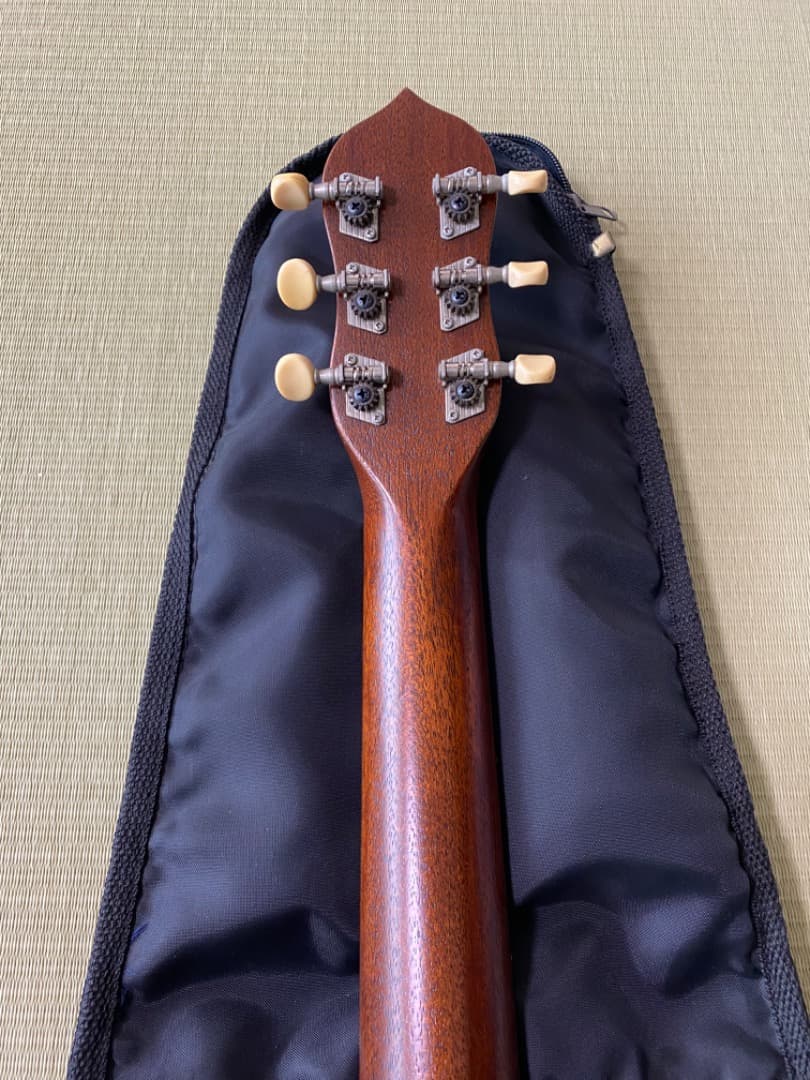 希少】Gigpacker ギグパッカー 販売 GPF-1 トラベルギター