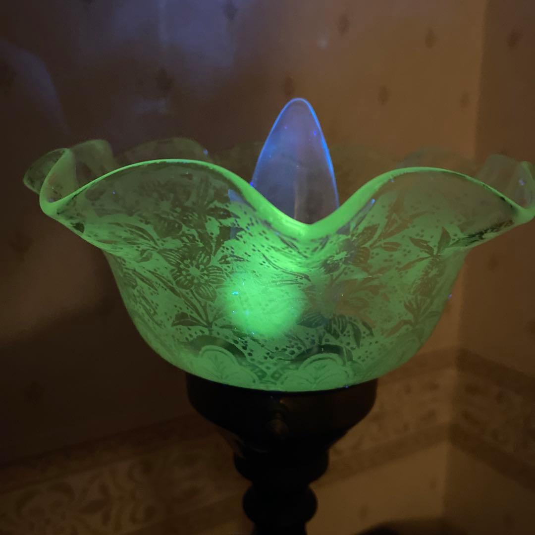 英国アンティーク ビクトリアン 美しい ボタニカル 酸エッチング