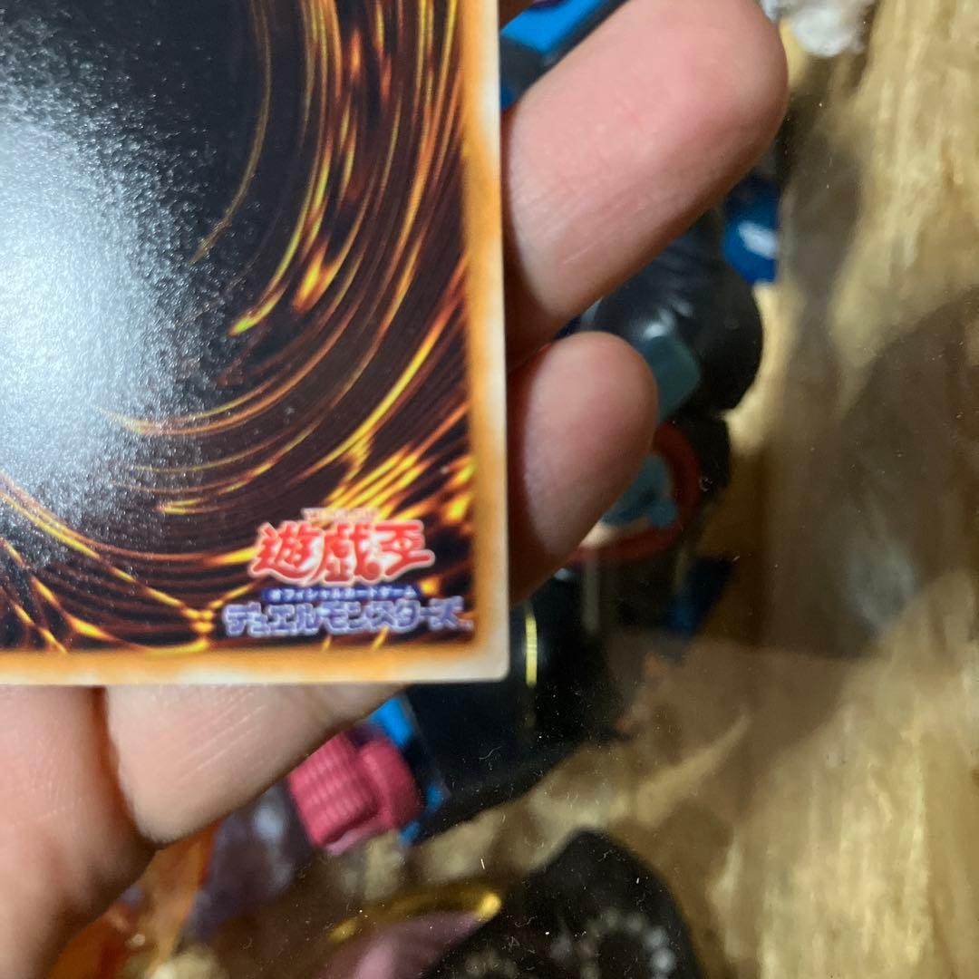 スターゲスト・ドラゴン ホロレア