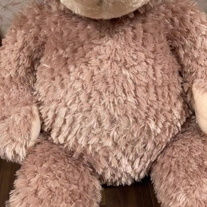 タグ付】 ぴたっとぬいぐるみ イーブイ ポケモンセンター限定