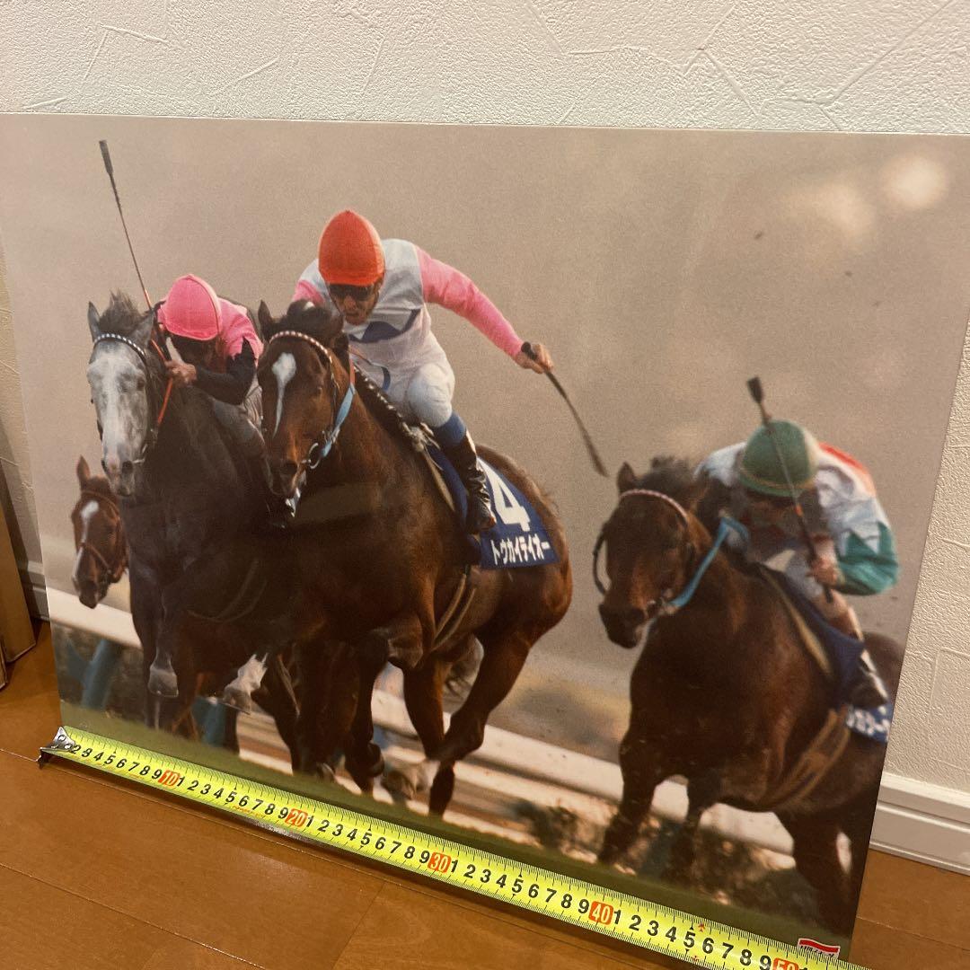 日刊スポーツ 第38回有馬記念 トウカイテイオー 写真パネル