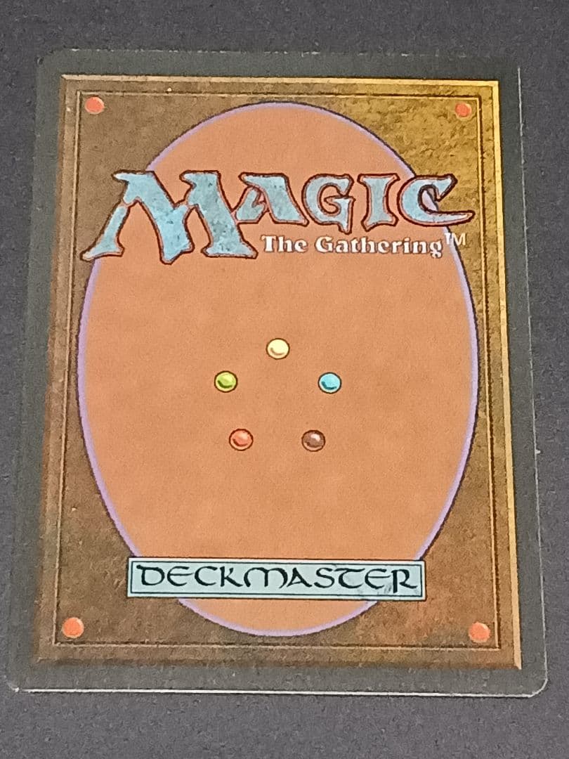 Tundra リバイズド イタリア語版 Tundra/3ED-リバイズド(イタリア語