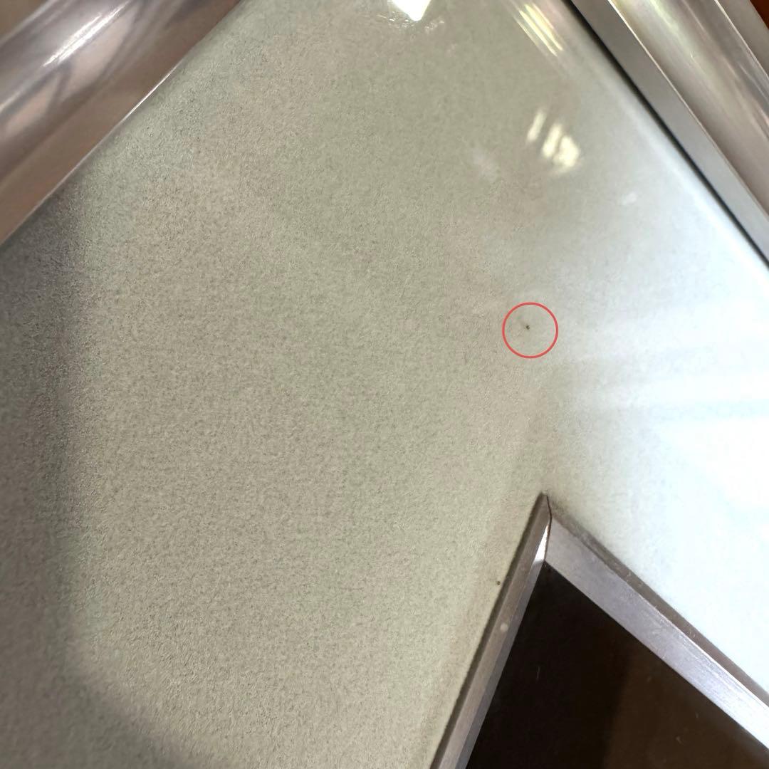 輪島塗 友田裕次 沈金 沈銀 あやめ 額装作品 絵画 額縁 共箱 説明書 漆