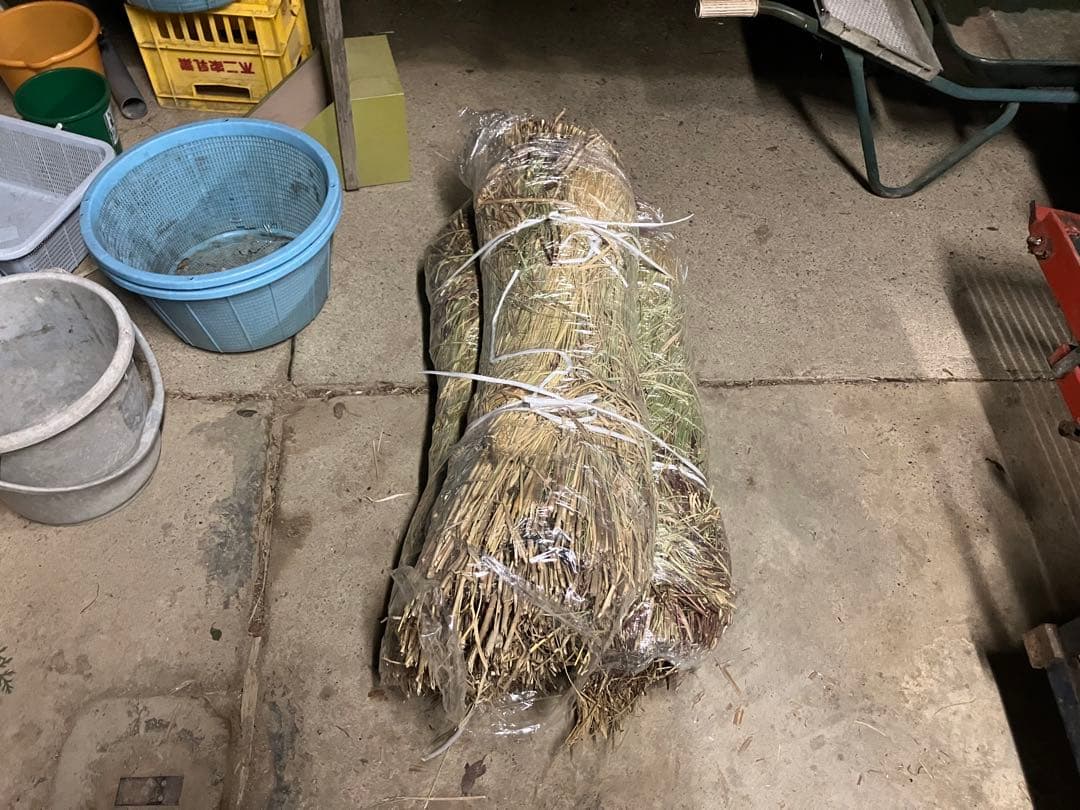 R7年10月2日刈取り】無農薬稲わら 【有機栽培約14kg】岩手