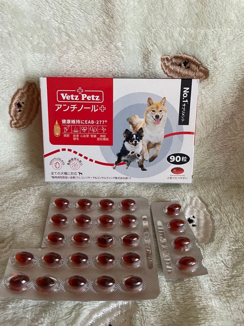 中型鳥用】螺旋状♪ビビリさんにもすぃすぃ登れるバードスタンド 中型鳥