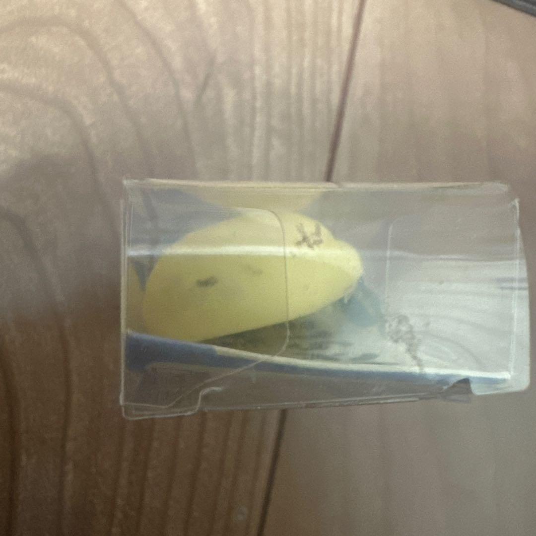 スクイーズ ふわもちあざらし君 やわらかひよっこくん