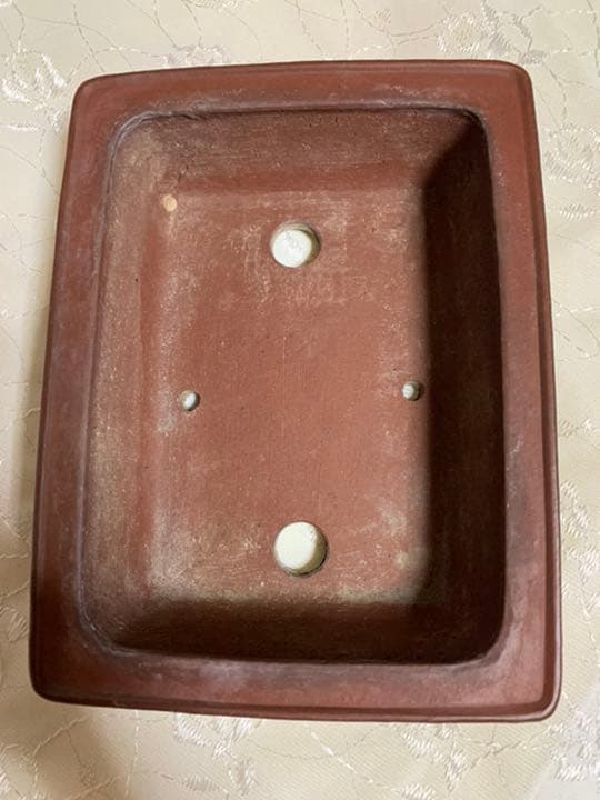 柴勝 長方 盆栽鉢