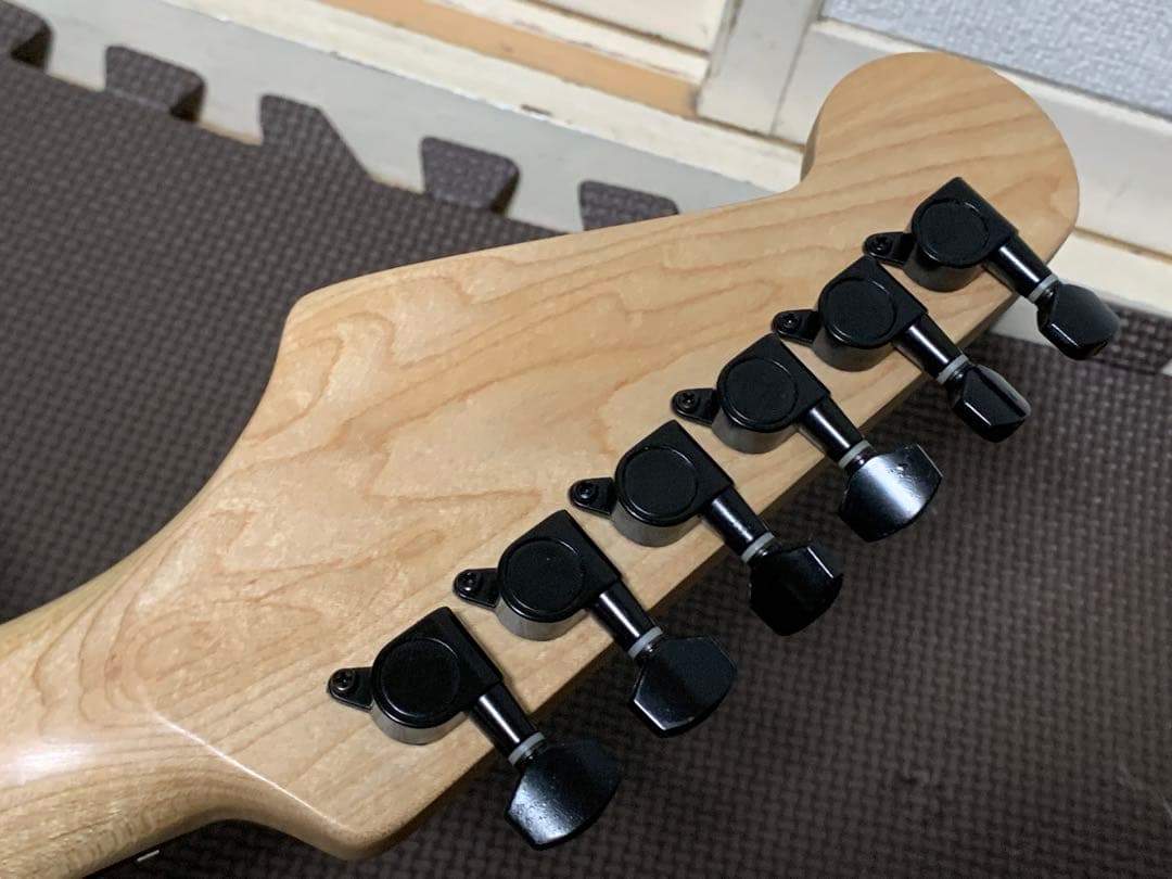 SELDER セルダー ストラトキャスター タイプ エレキギター 黒 緑 igb