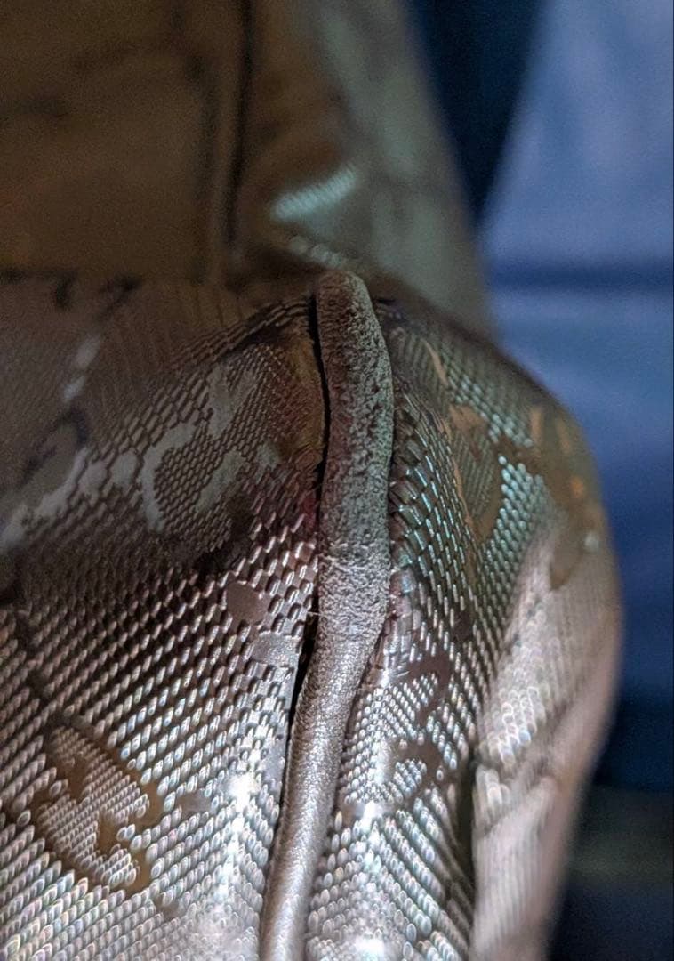 GUCCI シルバーショルダーバッグ