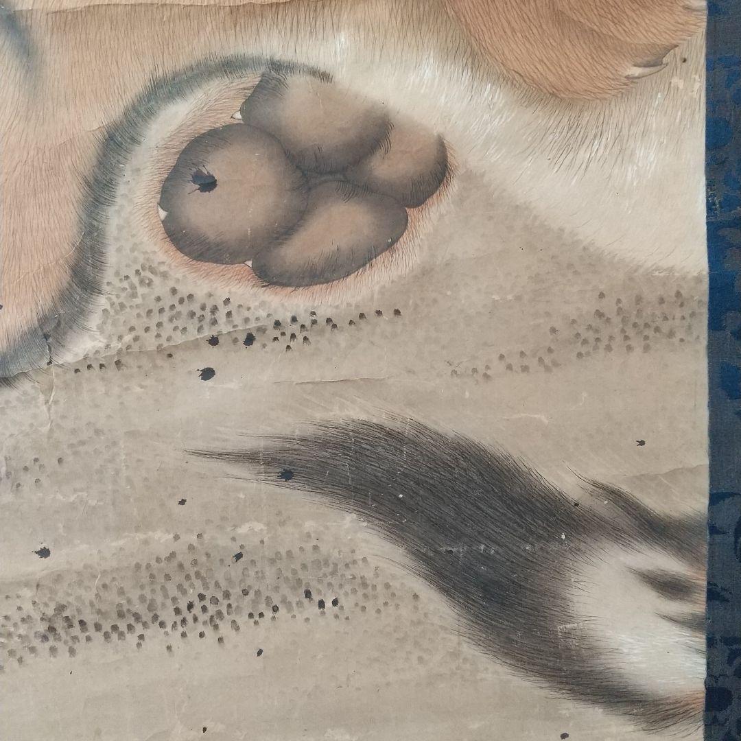 江戸絵画  虎  掛け軸  肉筆  江戸時代  貴重  骨董  茶道具