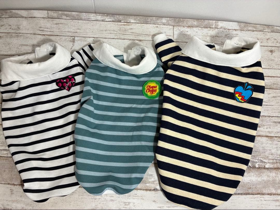 ロイヤルカナン チワワ 成犬用 12kg ダンボール発送