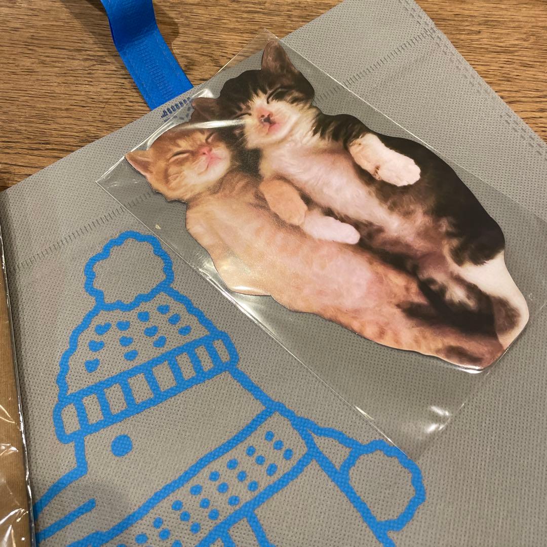 生活のたのしみ展 石田ゆり子 猫プリント Tシャツ 3点セット - メルカリ