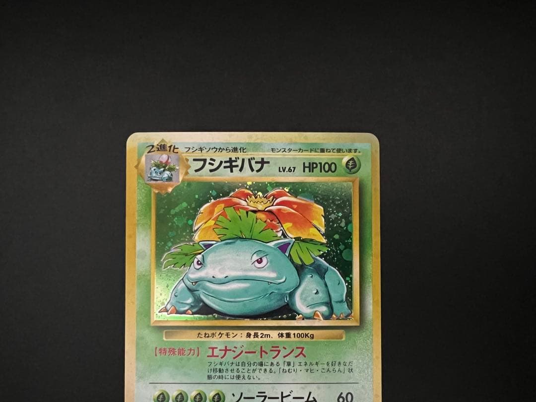 1996年 旧裏 御三家 リザードン・カメックス・フシギバナ セット