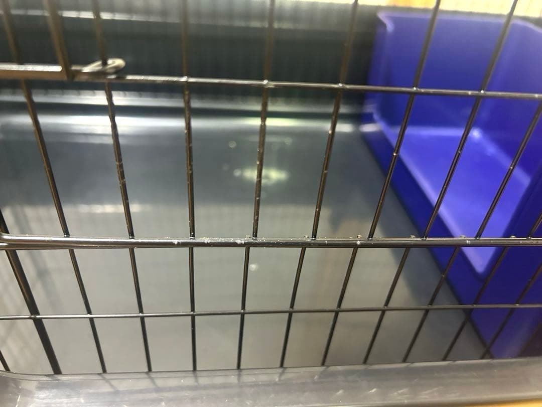 三晃商会 ワイルドホーム(82×51×52.5cm) フェレット ケージ