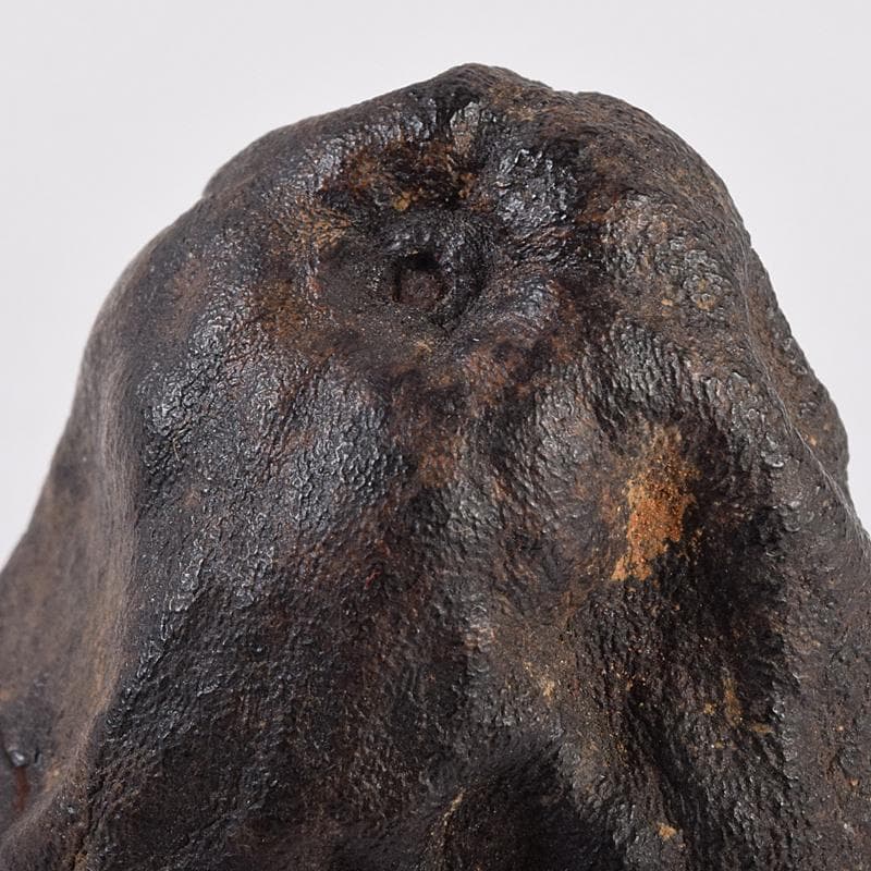 茶道具　乾漆　香合　花押あり　在銘　書付共箱　V　R8882