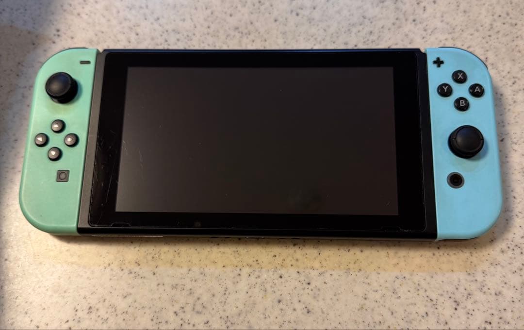 Switch あつまれ どうぶつの森セット＋128GBメモリ＋キャリングケース