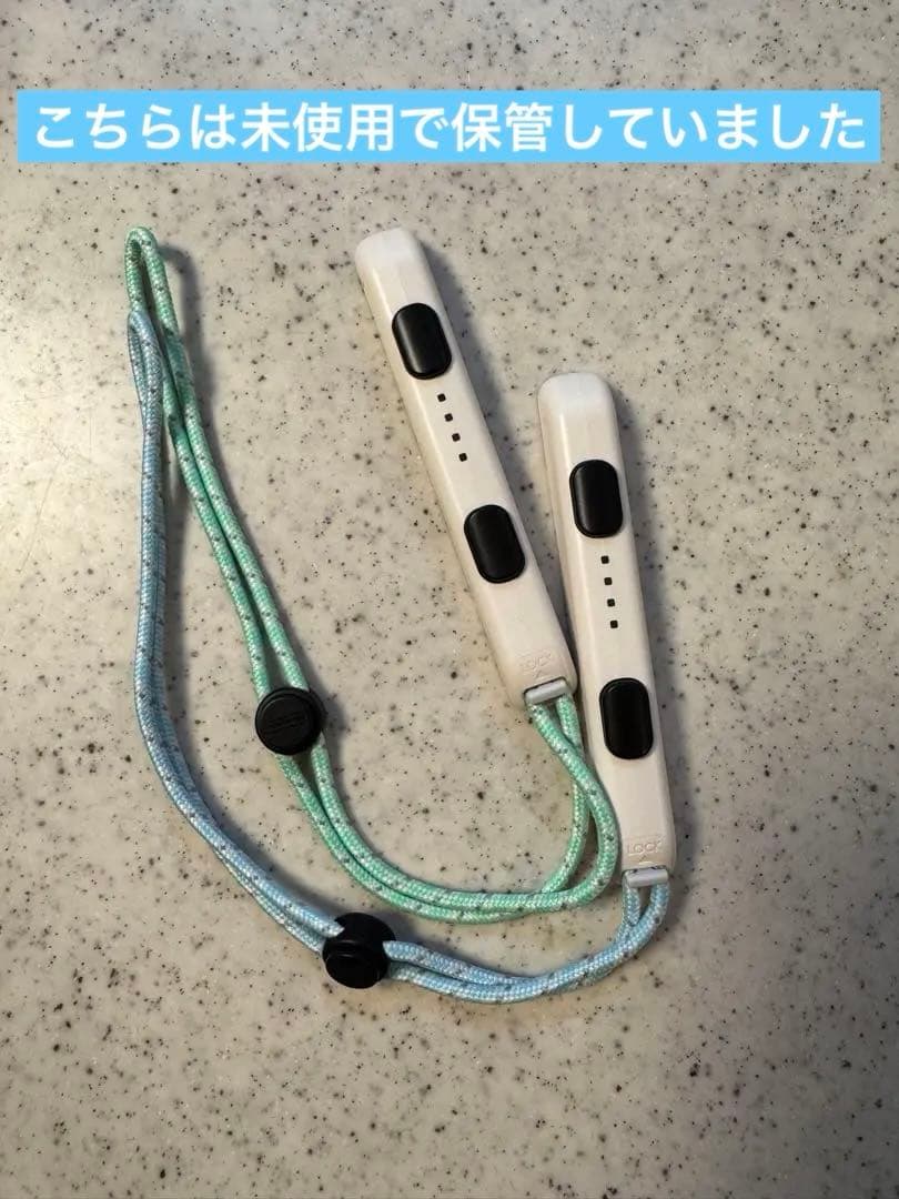 Switch あつまれ どうぶつの森セット＋128GBメモリ＋キャリングケース