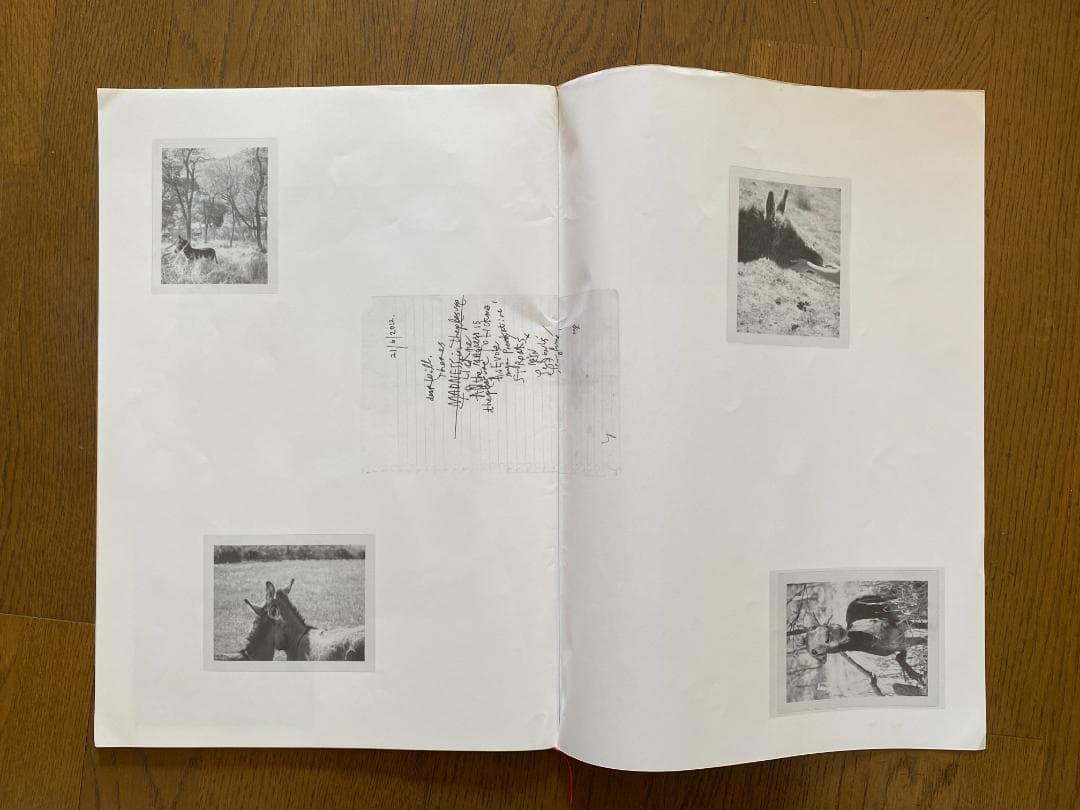 マーク・ボスウィック　100部限定　アートブック 貴重　オリジナルプリント付