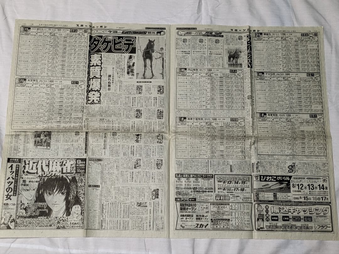 シーキングザパール 武豊 競走馬 写真パネル 額縁入り スポーツ新聞付き