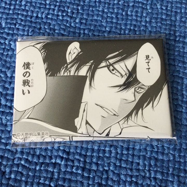 REBORN! ディスカウント 雲雀恭弥 缶バッジ 天野明展 京都 キャラ