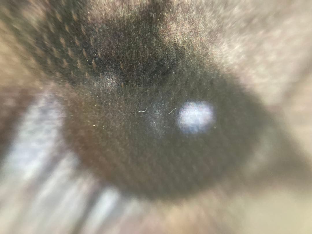 【激レア】吉岡里帆　特大　木製パネル　90㎝×60㎝　女優　壁掛け　ディスプレイ