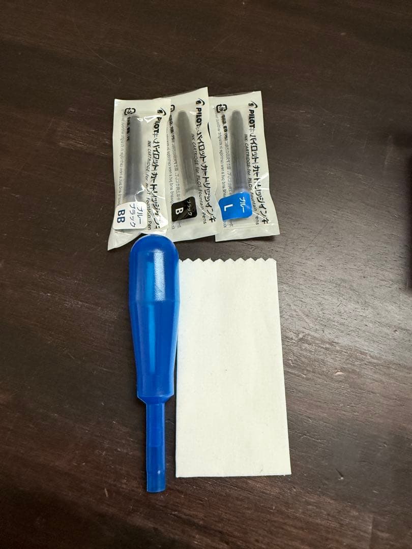 PILOT パイロット 万年筆 GRANCE グランセ FGRC-12SR F