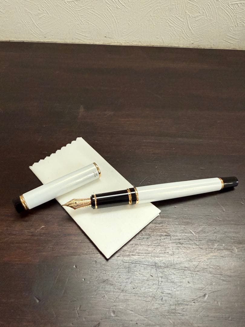 PILOT パイロット 万年筆 GRANCE グランセ FGRC-12SR F