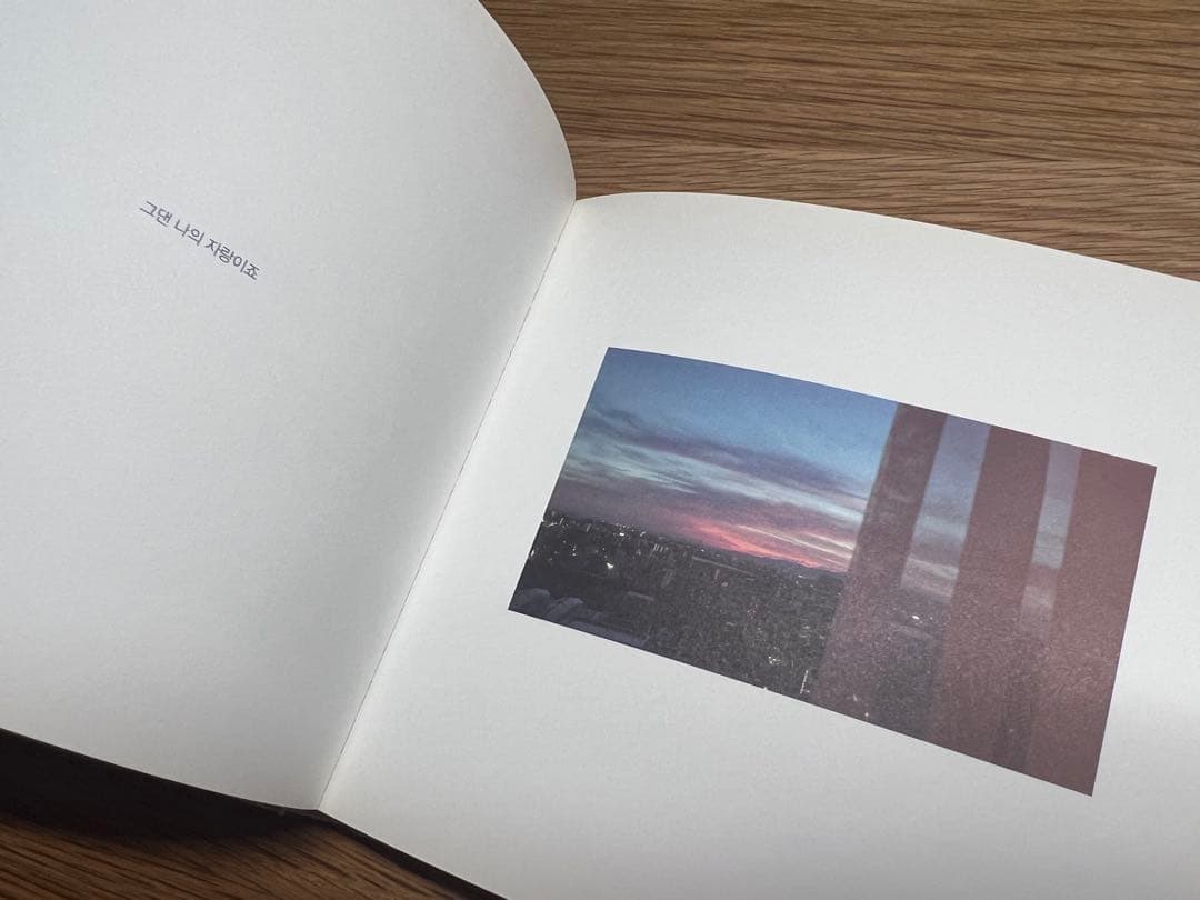 SHINee ジョンヒョン 小説 山荷葉