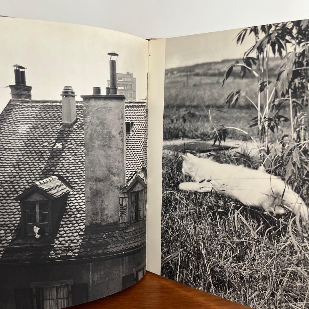 猫の写真集 CHATS HENRI SAAS フランスヴィンテージ