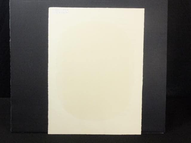 現菅井汲 直筆サイン『MASSE NOIRE 黒のマッス』リトグラフ 1010I