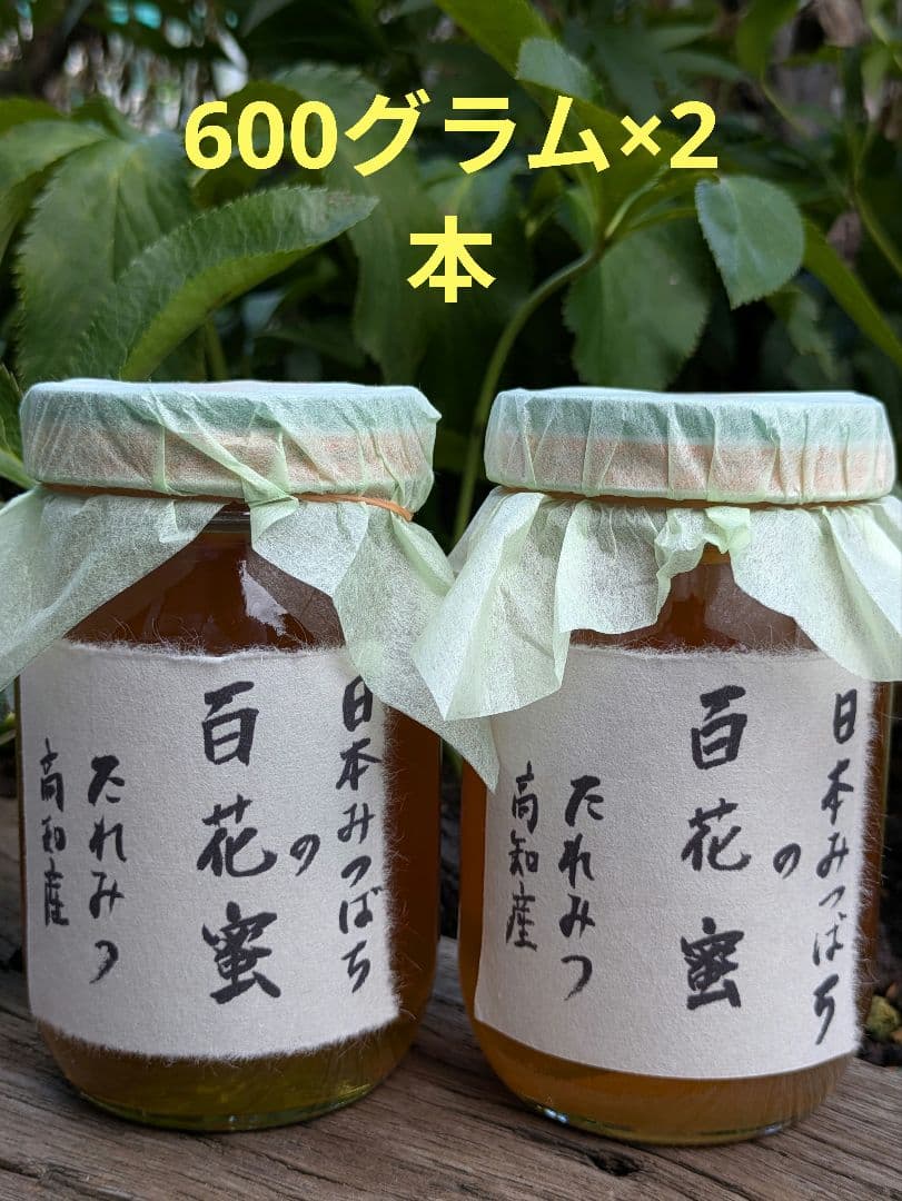 日本ミツバチ 蜂蜜 令和7年 採れたて 600g×2本 たれ蜜