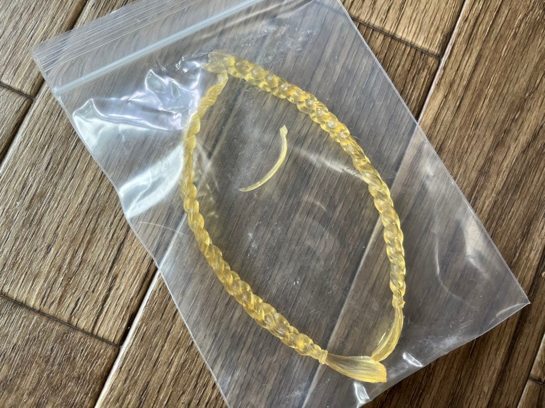 ワンダーショウケース ストリートファイター キャミィ ガレージキット