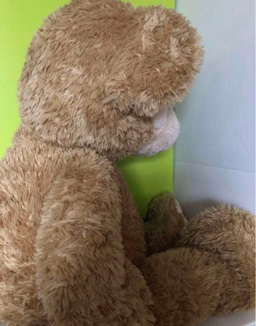 TDS ダッフィー ぬいぐるみ 特大 Lサイズ 旧LL レアDuffy - メルカリ