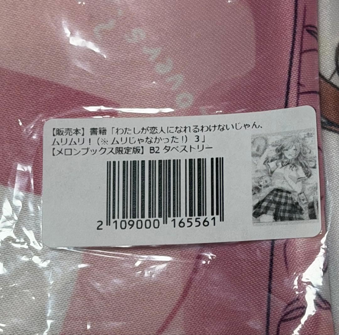 わたしが恋人になれるわけないじゃん、ムリムリ！　特典　タペストリー